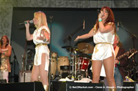 DSC_6186.jpg (63,746 bytes)