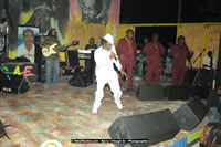 DSC_9291.jpg (91,899 bytes)