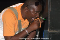 DSC_0832.jpg (45,361 bytes)