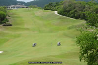 DSC_1202.jpg (101,659 bytes)