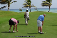 DSC_9665.jpg (84,100 bytes)