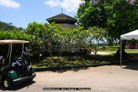 DSC_1459.jpg (144,579 bytes)