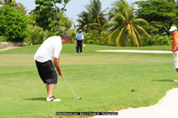 DSC_0384.jpg (136,572 bytes)