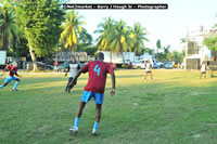 DSC_4474.jpg (149,274 bytes)