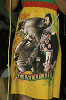 DSC_2888.jpg (151,224 bytes)