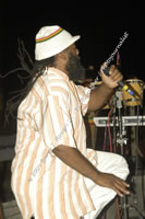 DSC_0402.jpg (98,859 bytes)