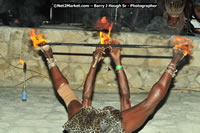 DSC_5039.jpg (110,261 bytes)