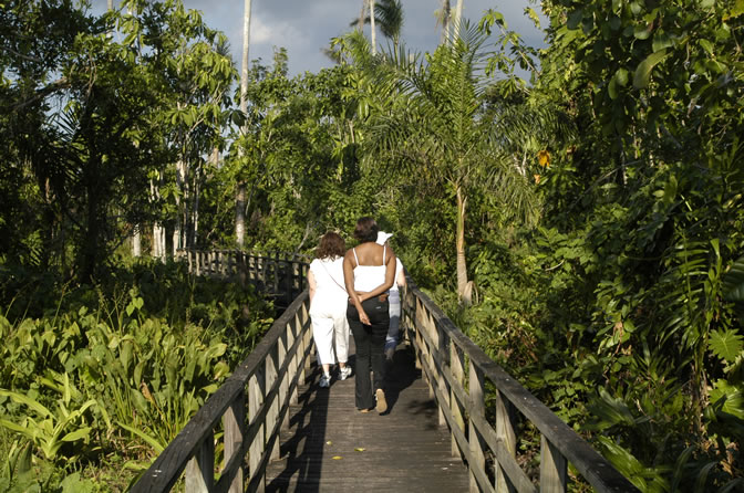 Negril Royal Palm Reserve Eco-Tourim Attraction - Negril Travel Guide, Negril Jamaica WI - http://www.negriltravelguide.com - info@negriltravelguide.com...!