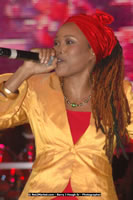 DSC_8124.jpg (52,420 bytes)