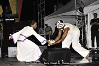 DSC_5469.jpg (94,053 bytes)